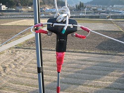 バラン