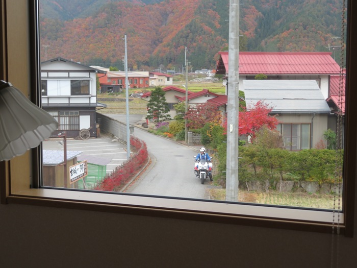 紅葉と白バイ