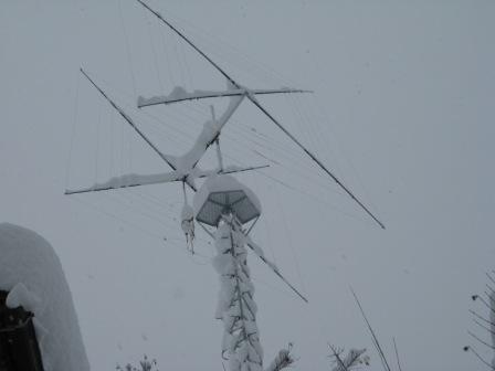 雪をかぶったクワッド