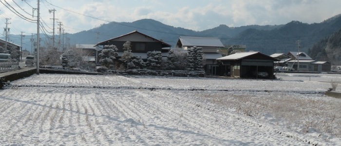 田んぼ