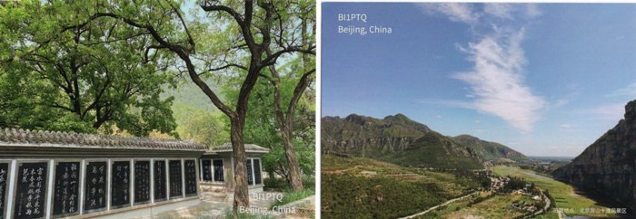 QSL Card