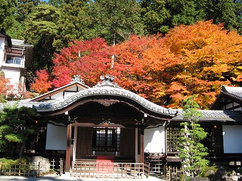 温泉寺紅葉