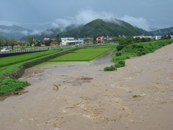 水田は冠水