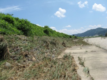 堤防の濁流痕